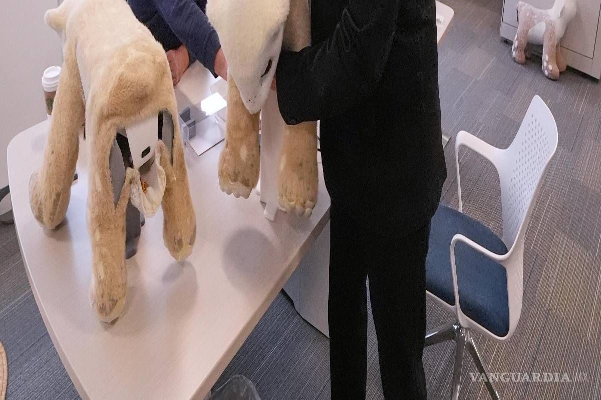 $!Colin Angle levanta a Familiar, un prototipo de robot mascota con inteligencia artificial, en la empresa emergente Familiar Machines &amp; Magic.