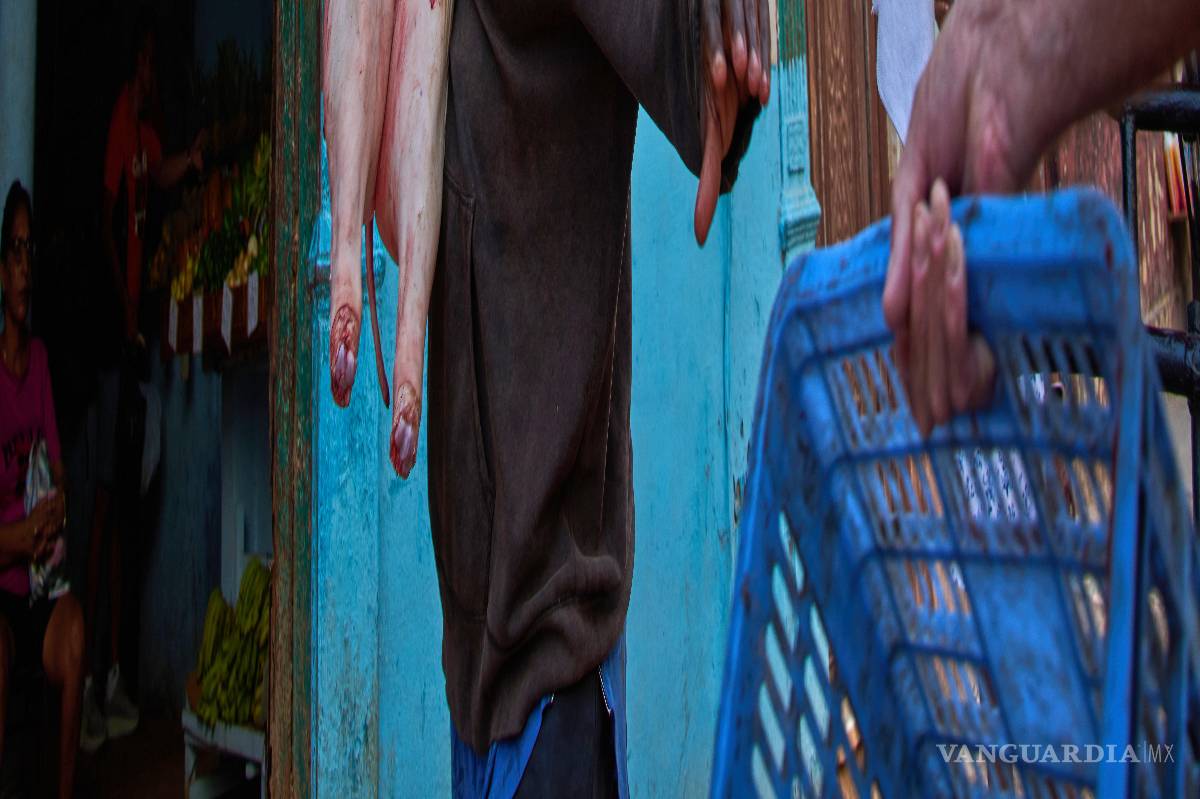 $!Un hombre lleva un cerdo a la entrada de un mercado decorado con un mural de Fidel Castro, en La Habana, Cuba, el miércoles 12 de agosto de 2026.