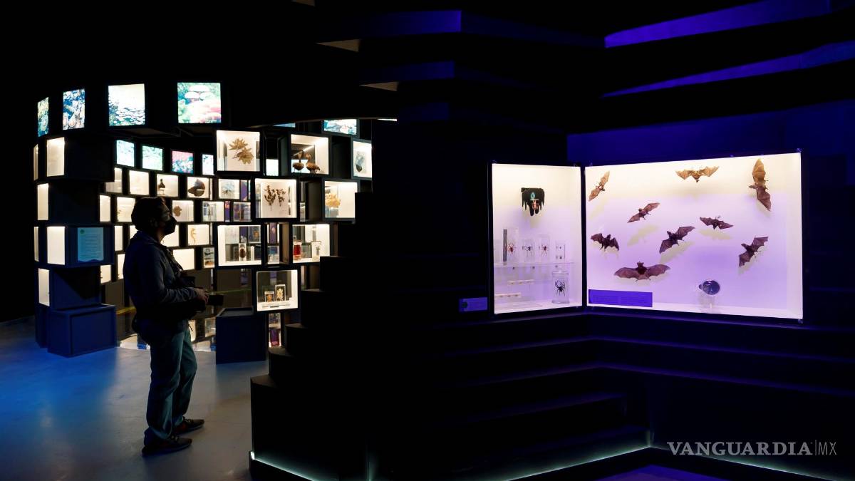 UNAM inaugura su Pabellón de la Biodiversidad con el apoyo de la Fundación Slim