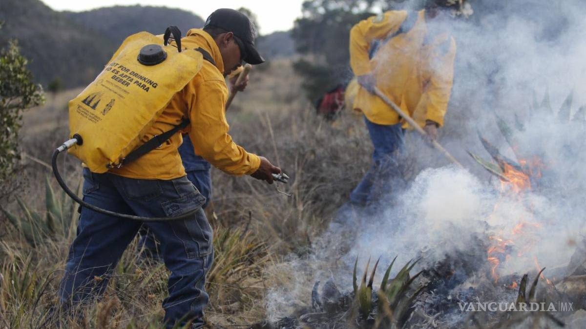 Se buscará más apoyo aéreo para incendio en el Cañón de San Lorenzo en Coahuila