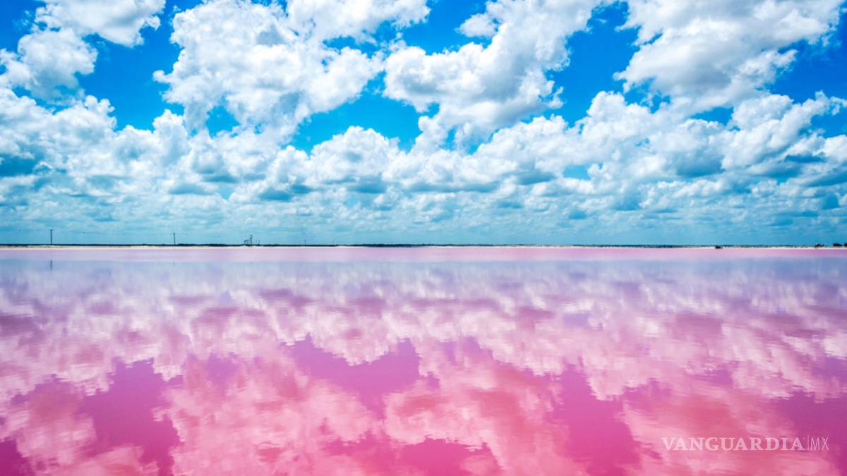 La mágica laguna rosa mexicana que sorprende a las redes
