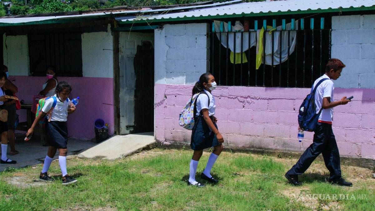 Absorben becas de la 4T recursos de aprendizaje, según análisis