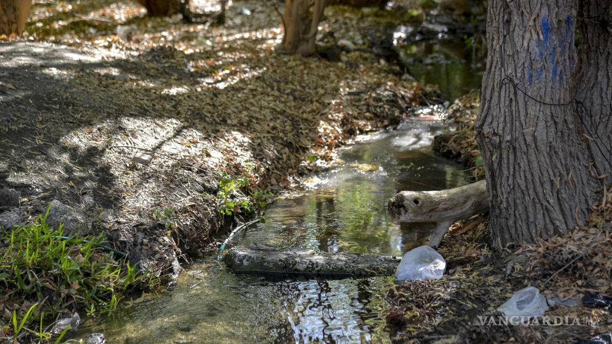 Alto grado de contaminación del Pozo Azul vuelve letal entorno para Carpita de Saltillo