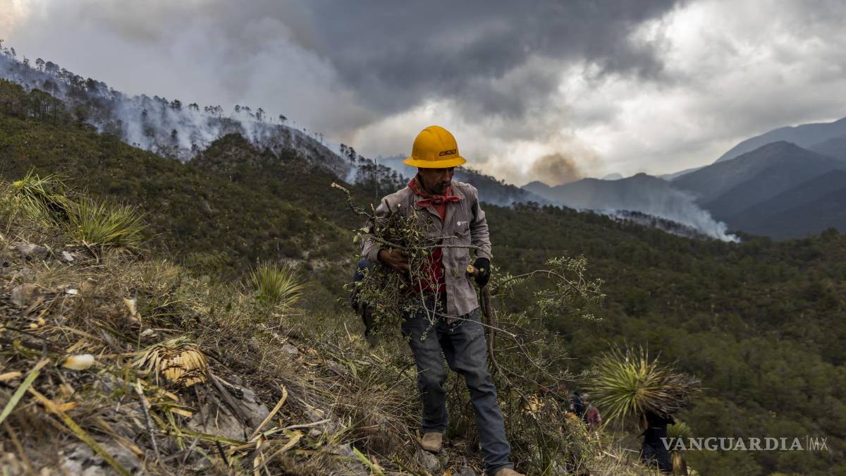 ¡Bendita lluvia! junto con labor de brigadistas, avanza control de fuego al Sureste de Coahuila