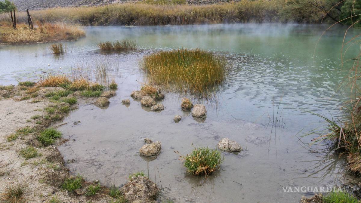 Teme Alcaldesa de Cuatro Ciénegas que veda de agua frene inversiones