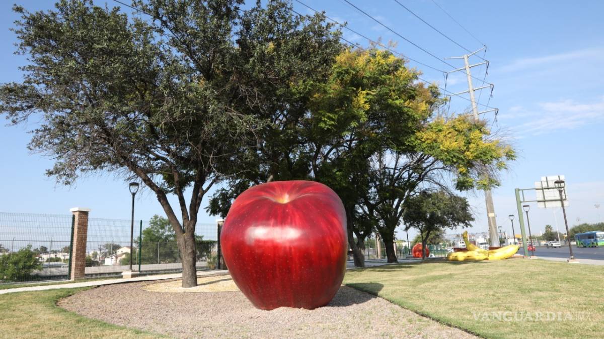 Emociona a regios corredor con frutas gigantes