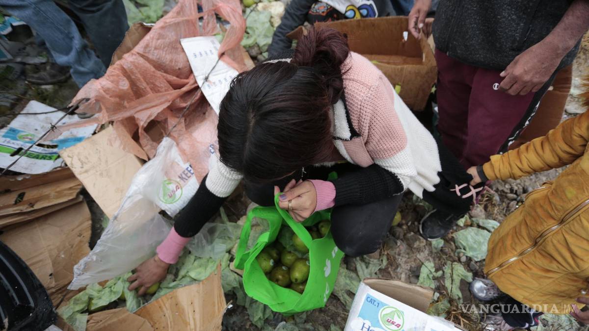 Vuelca tráiler de peras en Ramos Arizpe y vecinos aprovechan para cometer rapiña