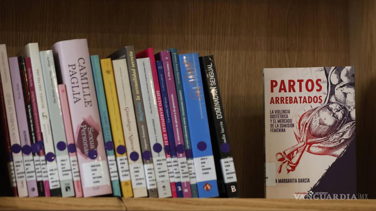 “Biblioteca de las Mujeres” en Chile recupera a escritoras olvidadas, es la primera con enfoque de género