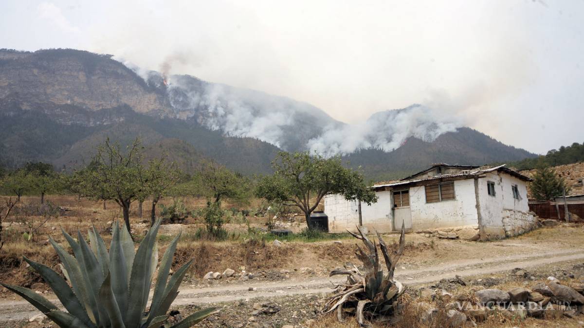 Acapara incendios la Región Sureste