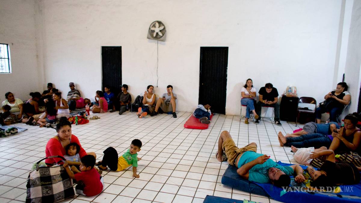 Albergues podrán recibir mascotas: Semarnat