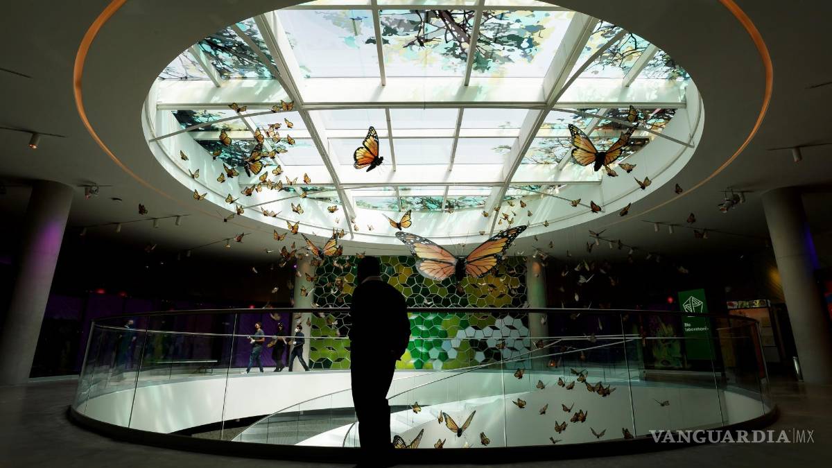 UNAM inaugura su Pabellón de la Biodiversidad con el apoyo de la Fundación Slim