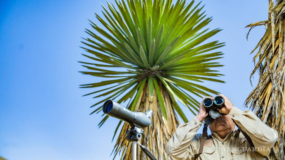 Enrique Cisneros Tello: El vigía del Águila Real