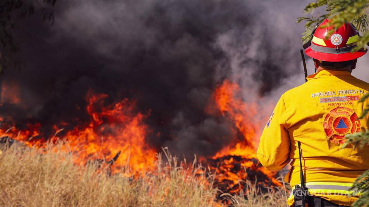 Evacuan a 30 personas y rescatan a seis animales por incendio en Monterrey, Nuevo León