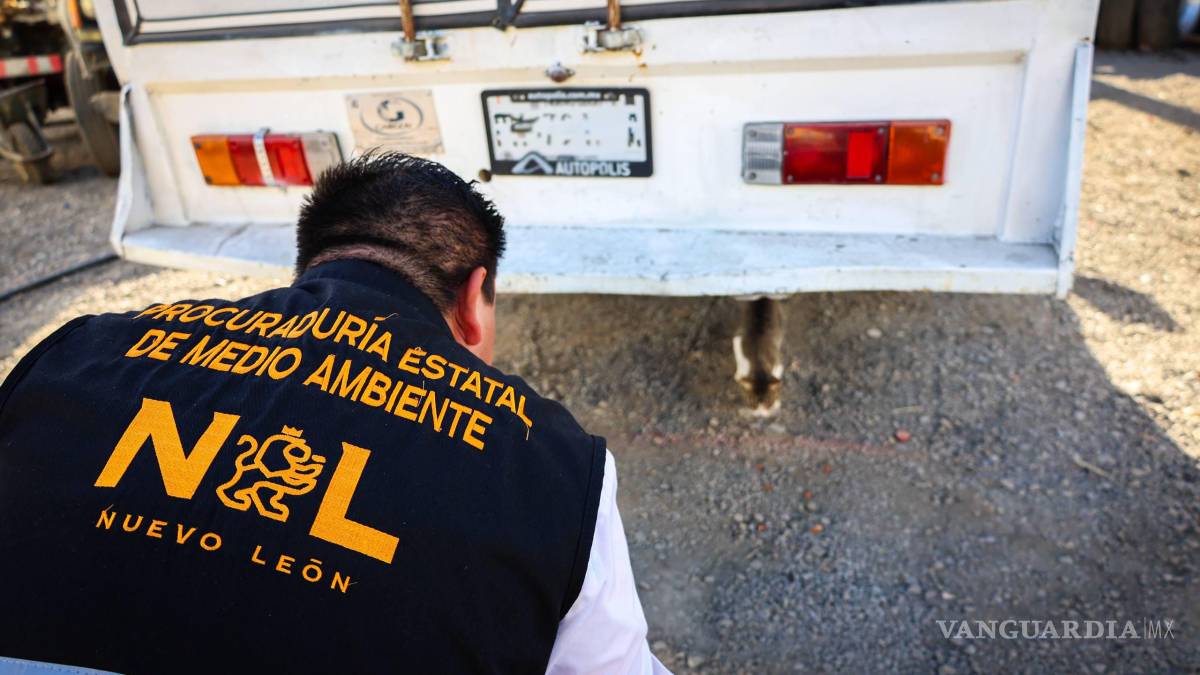 Por maltrato y crueldad animal suspenden un taller en Apodaca, Nuevo León