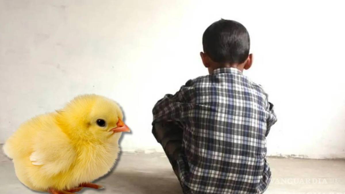 ‘Pollitos de colores’, niños y adolescentes al servicio de la delincuencia organizada