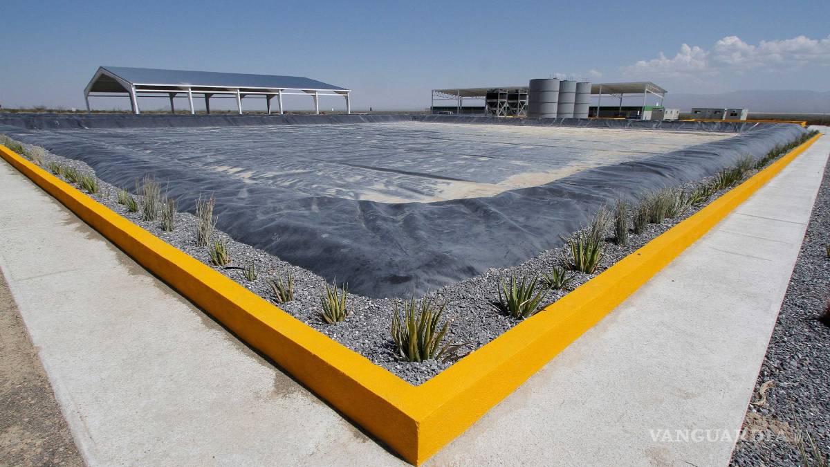 Suspende operaciones Cimari de General Cepeda: Profepa