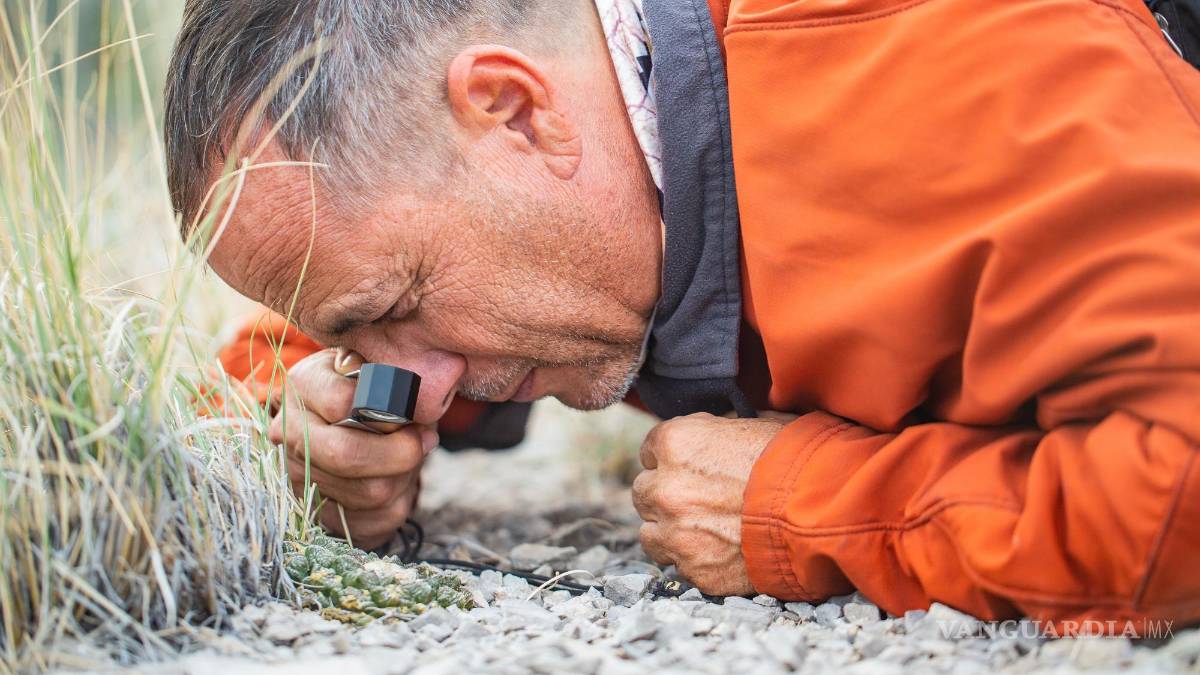 Rodrigo González: En busca del siguiente cactus