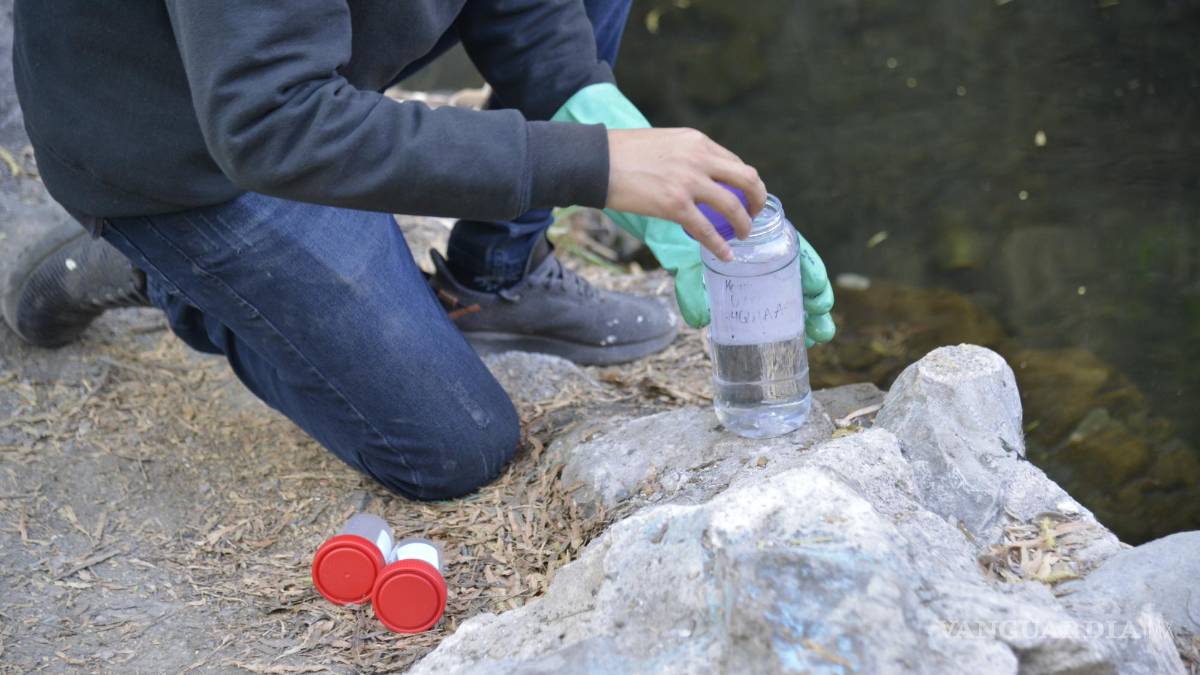 Alto grado de contaminación del Pozo Azul vuelve letal entorno para Carpita de Saltillo
