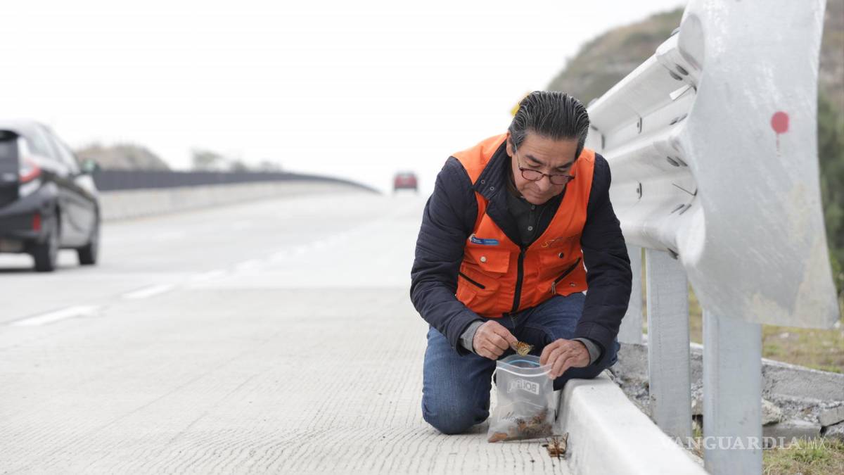 Fotografiando a las Monarcas, documenta catástrofe natural