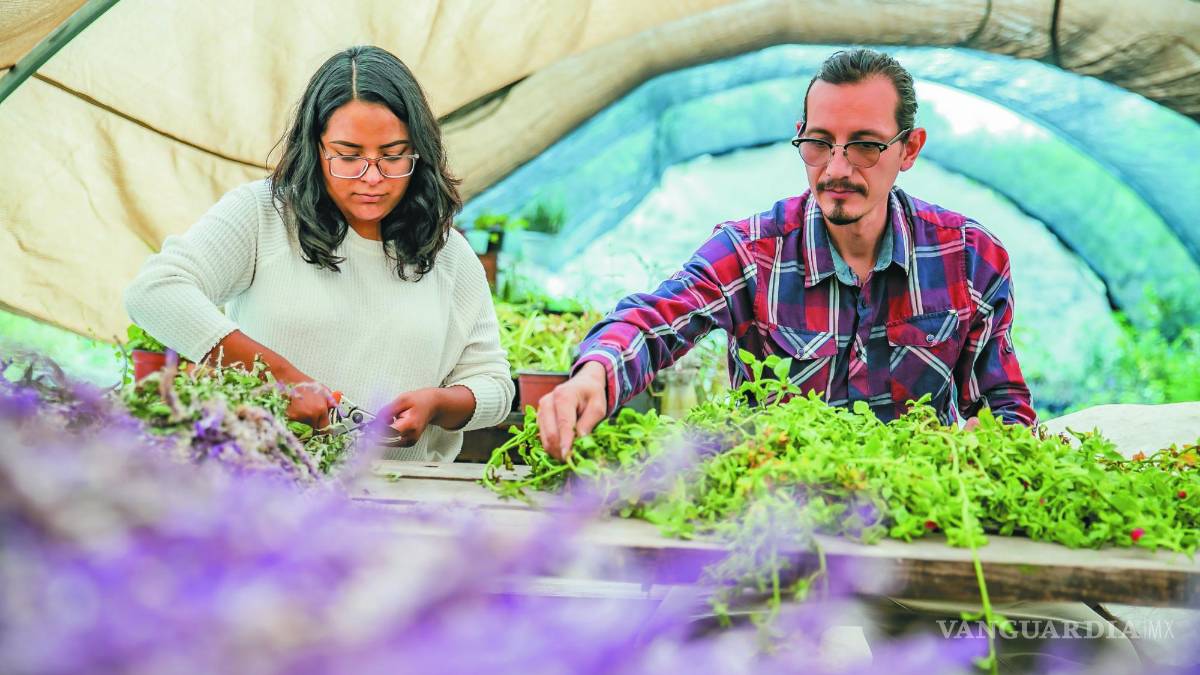 Javier Alanís y Sharon Castillo: Saltillo florece en Santa Anita