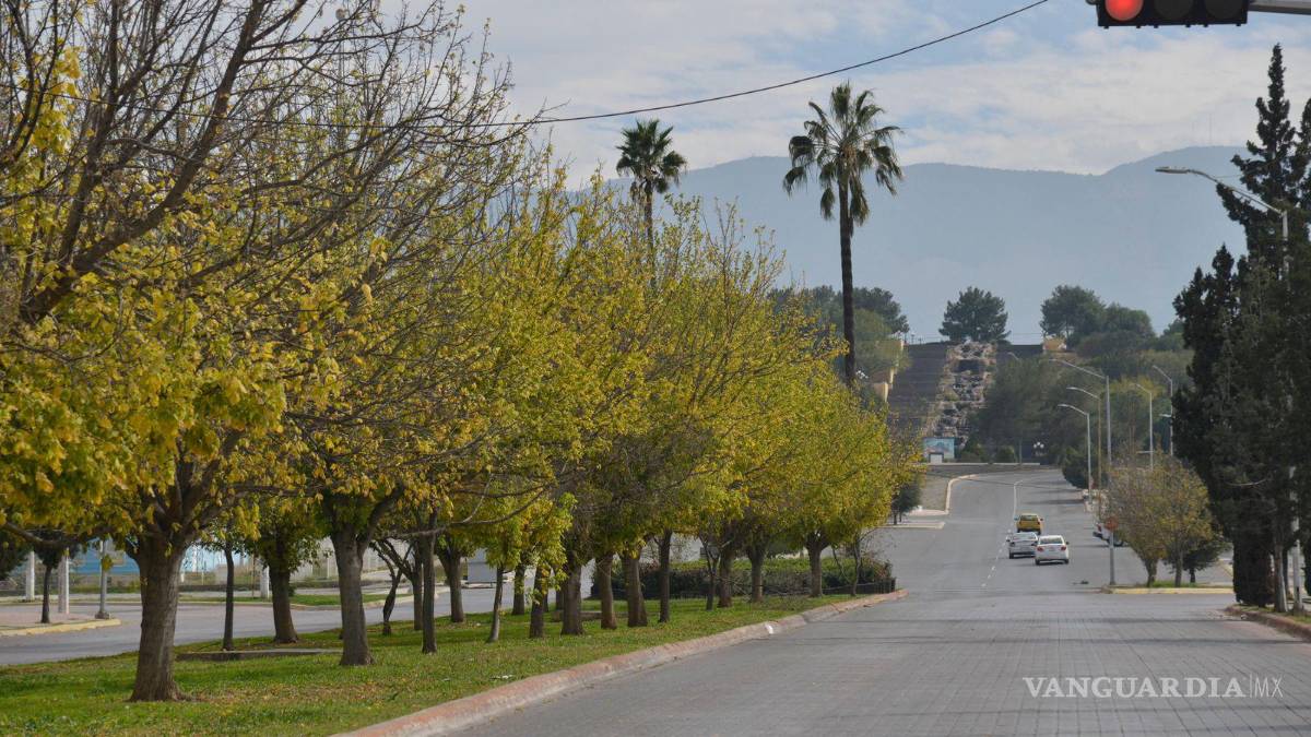 Descansa Saltillo en Navidad, plazas y calles se vacías; estrenan ciudadanos regalos al aire libre