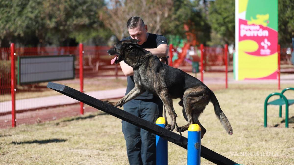Dejan en Parque Perrón de Saltillo ‘huella’ de sus mascotas, en su primer día de actividades