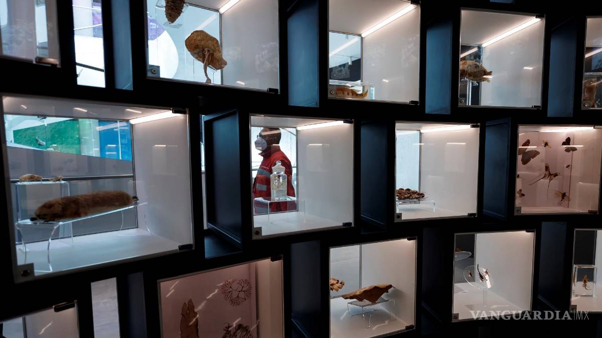 UNAM inaugura su Pabellón de la Biodiversidad con el apoyo de la Fundación Slim