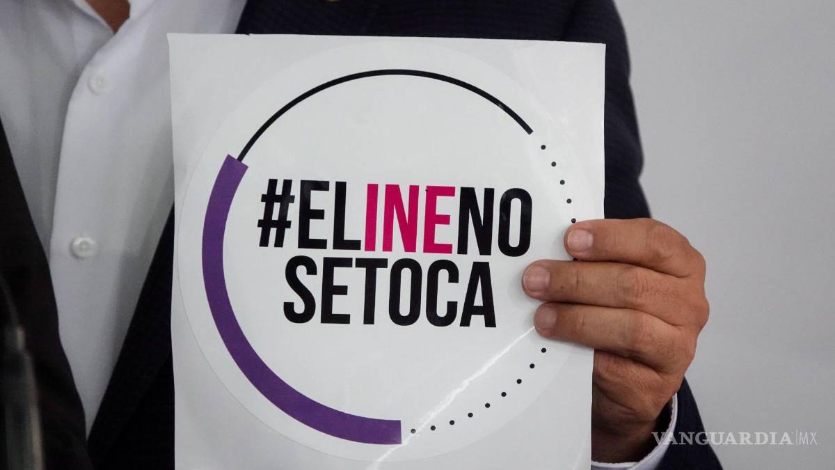 Abanderan ciudadanos marcha por el INE: ONG