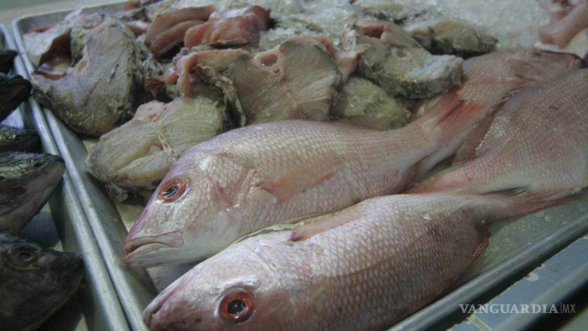 Verifica SS calidad de productos del mar en pescaderias de Coahuila