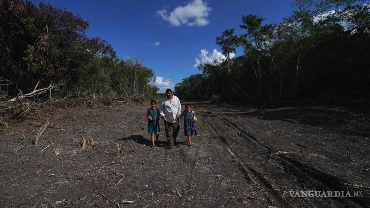 La selva de Calakmul, el nuevo foco rojo del Tren Maya