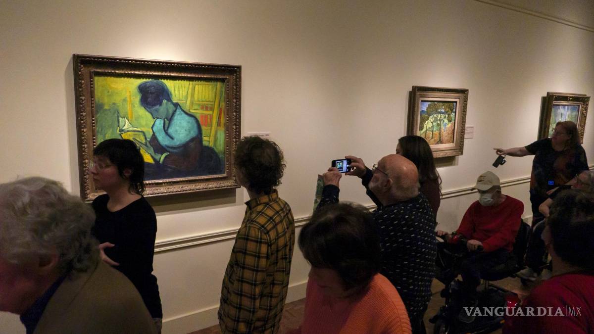 Museo de Detroit busca desestimar una demanda por una pintura de Vincent van Gogh