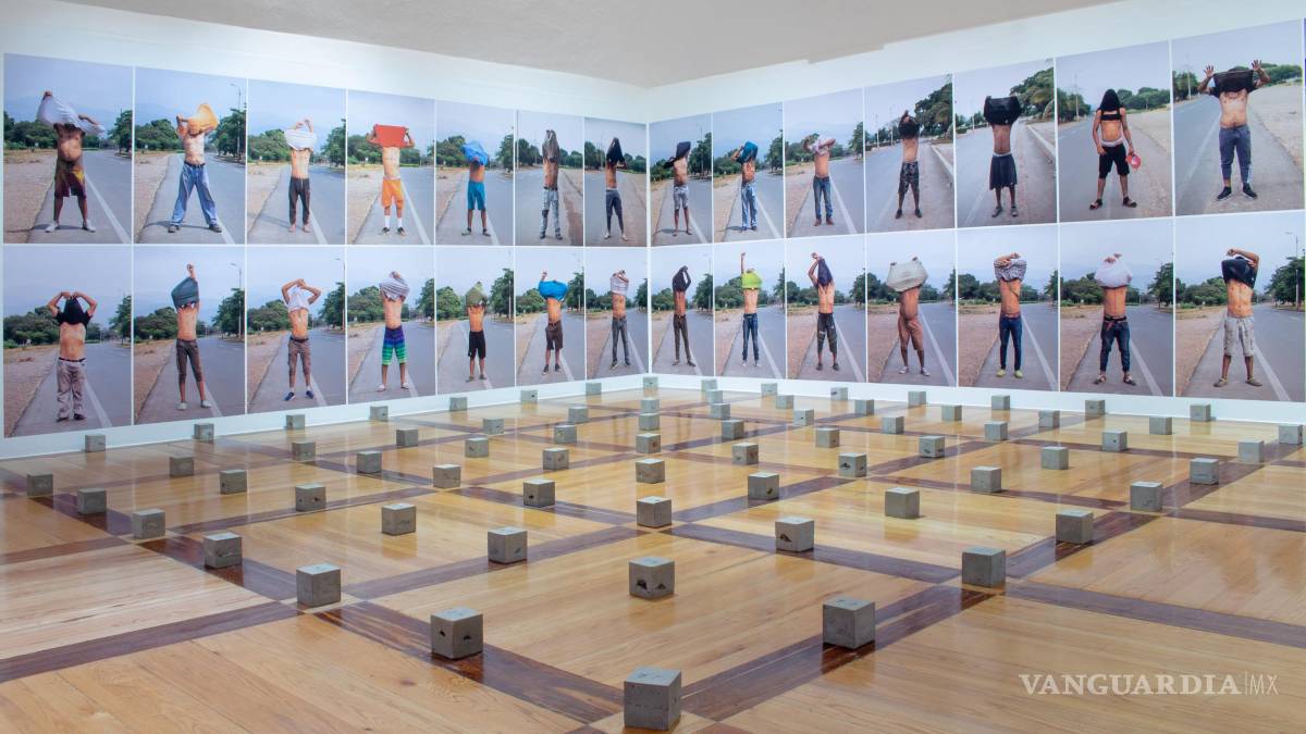 Impulsan MARCO y Pa´l Norte: mañanas de museo, tardes de festival