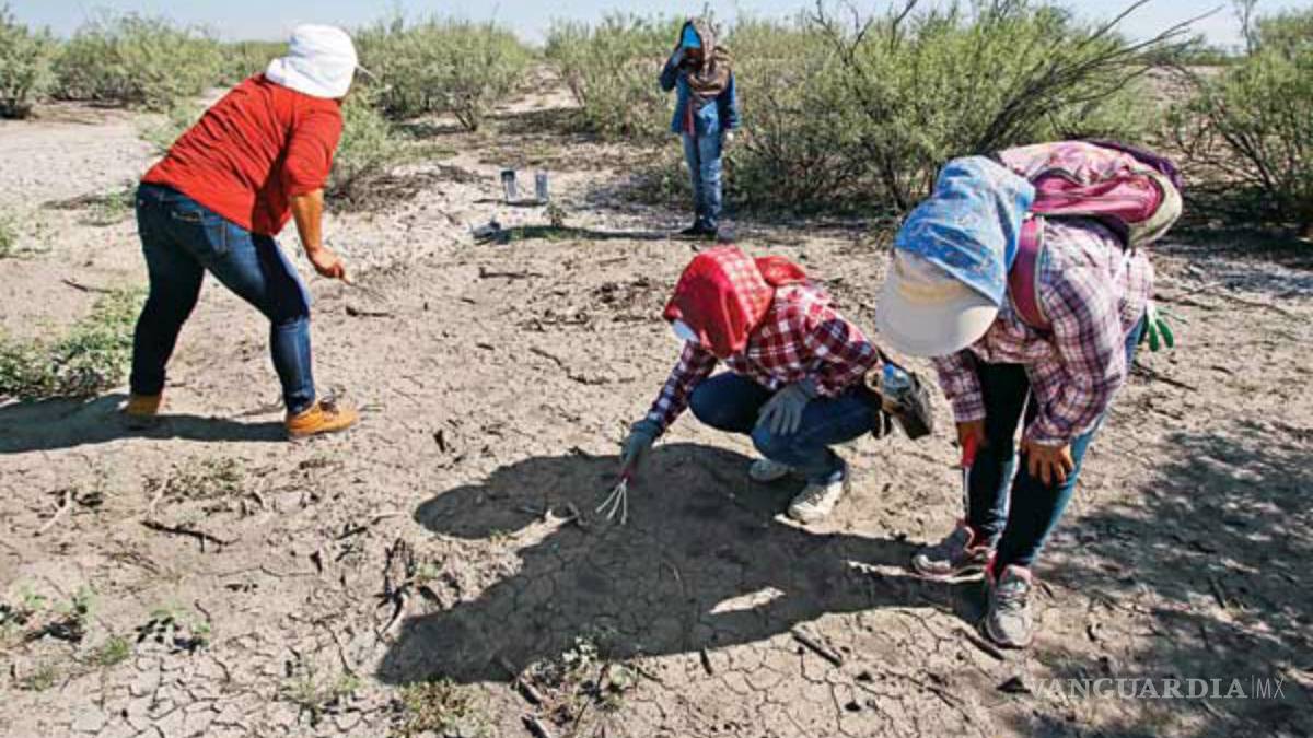 Hallan tambos de incineración y restos en fosa