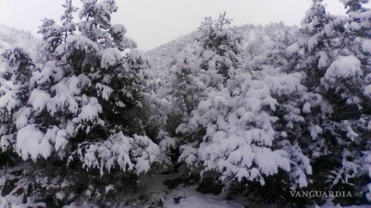 Reportan nieve en zonas altas de la sierra de Arteaga
