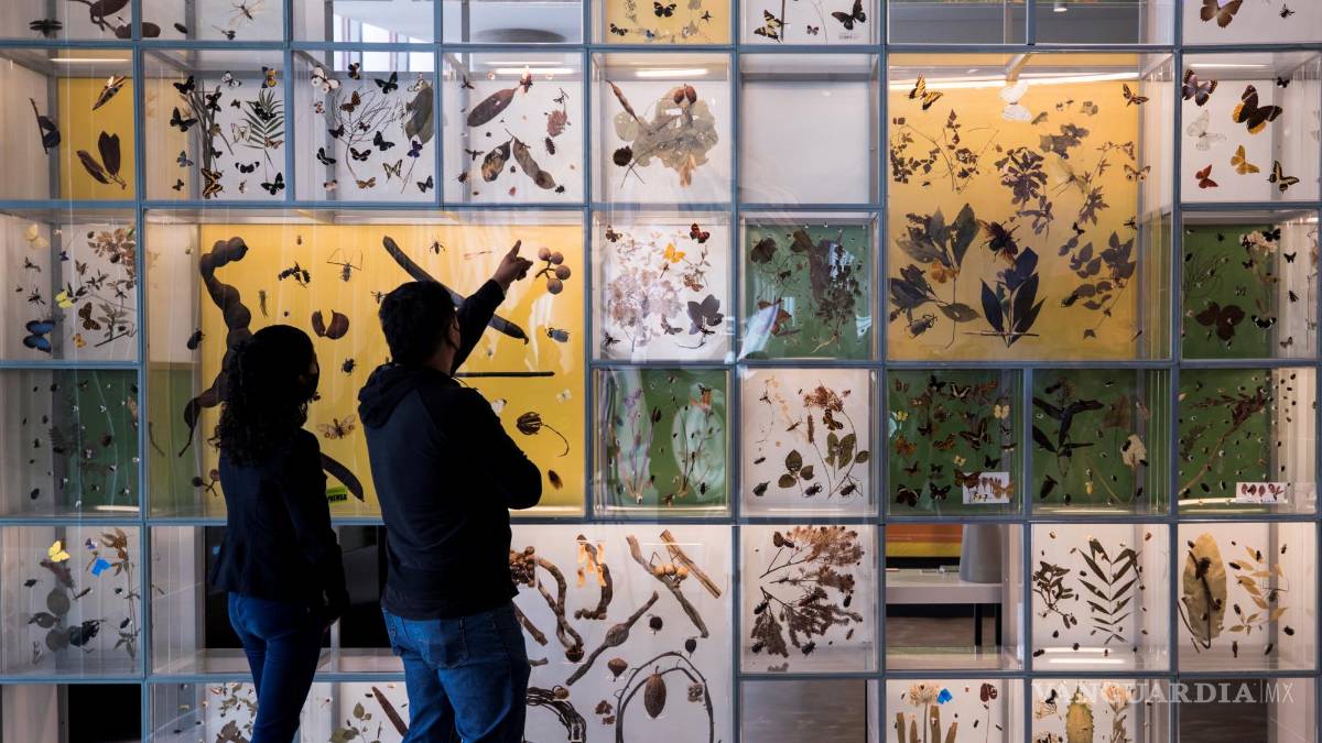 UNAM inaugura su Pabellón de la Biodiversidad con el apoyo de la Fundación Slim