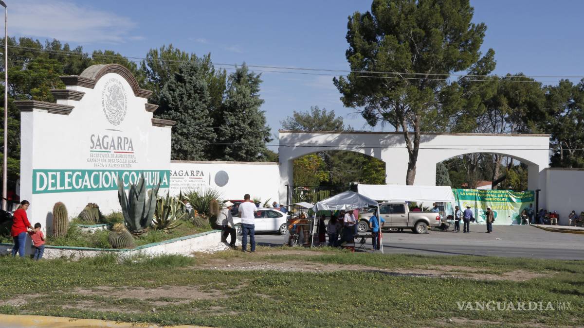 Reparte Sagarpa paquetes para la producción de hortalizas