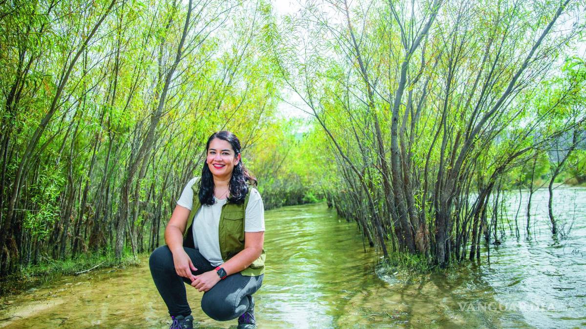 Violetta Farías: A limpiar por México