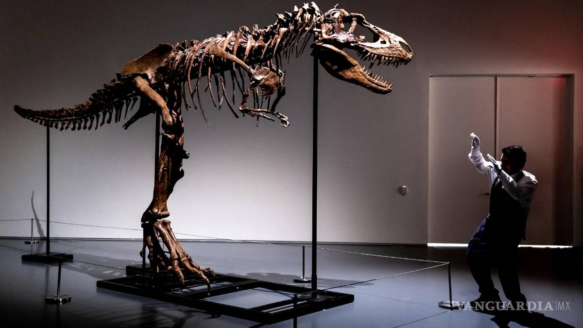 Subastan el esqueleto de un dinosaurio de hace 77 millones de años