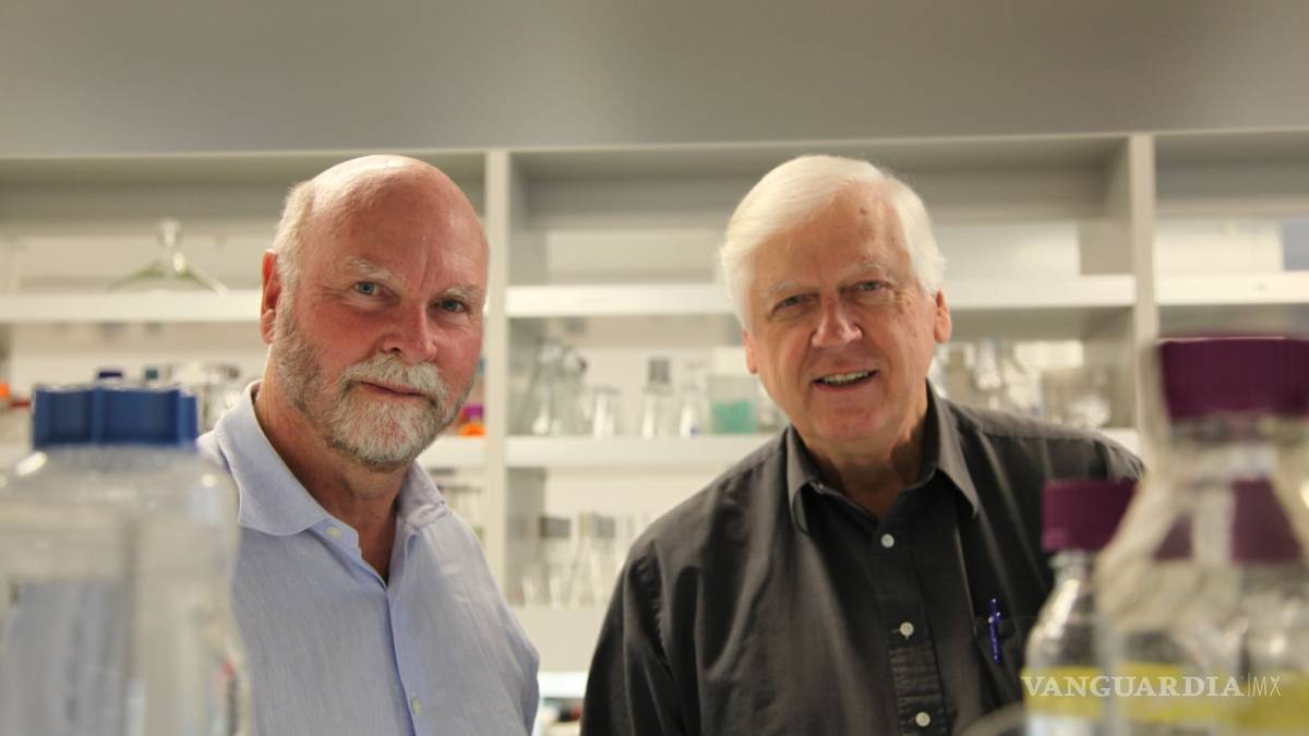 Crean vida artificial más sencilla que la vida misma