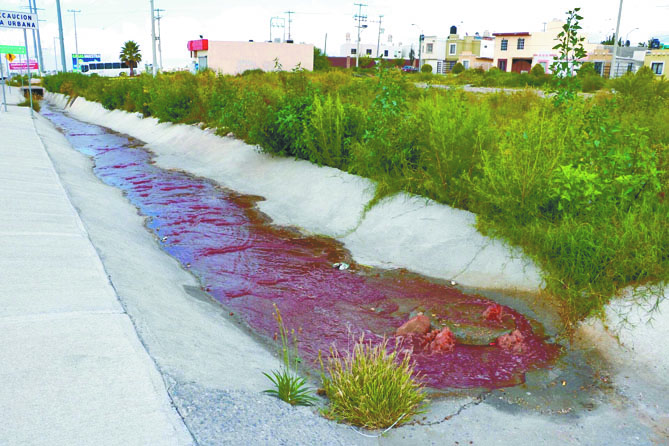 Opera en la ilegalidad el rastro de Saltillo