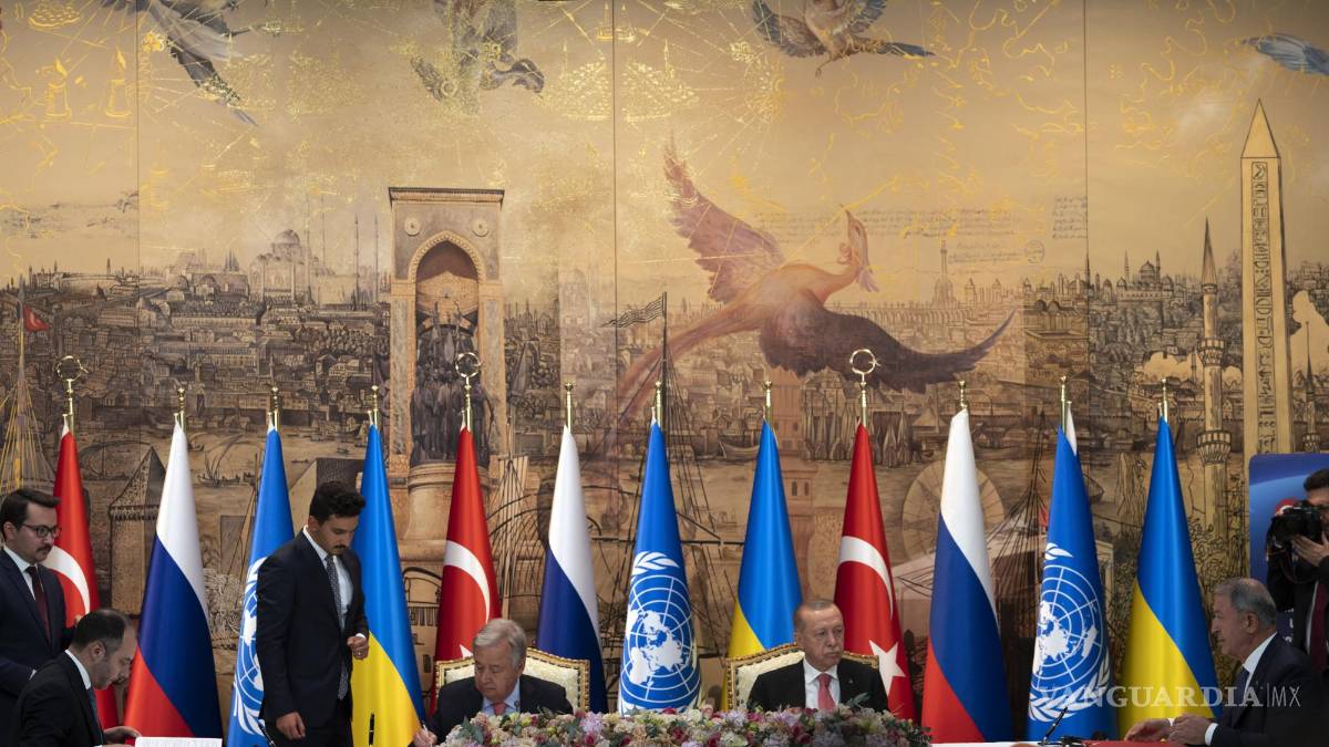 ¿Cómo funcionará el acuerdo de cereales entre Rusia y Ucrania?