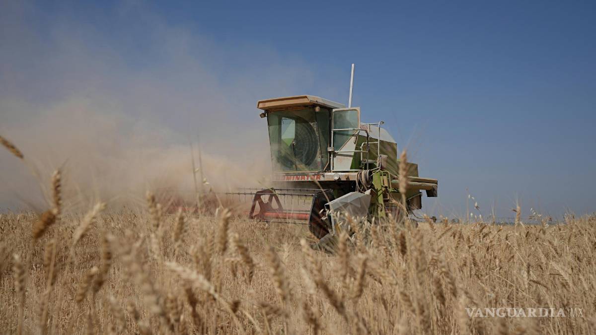 Afecta a millones ‘efecto dominó’ por guerra rusa