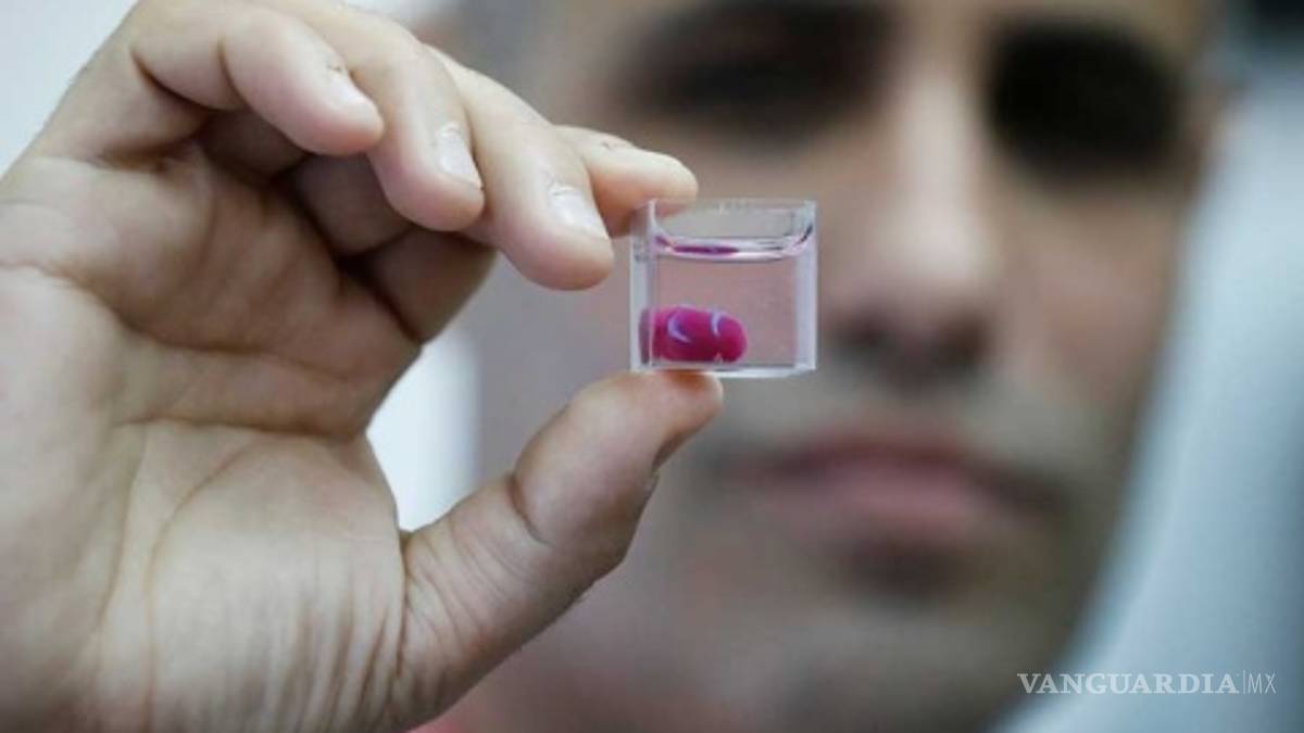 Crean en impresora 3D un corazón que palpita