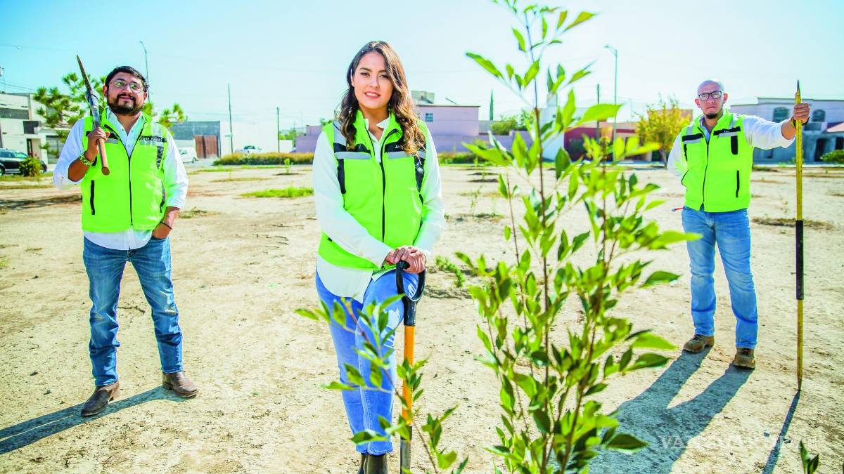 Saltillo Ecológico: Una ciudad más verde
