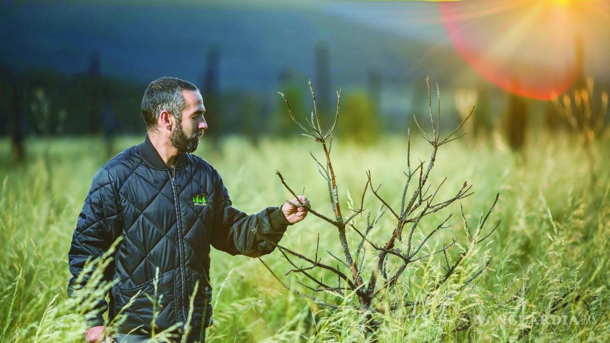 David Valladares: A proteger la sierra