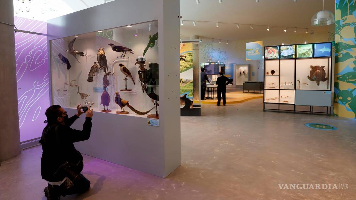 UNAM inaugura su Pabellón de la Biodiversidad con el apoyo de la Fundación Slim