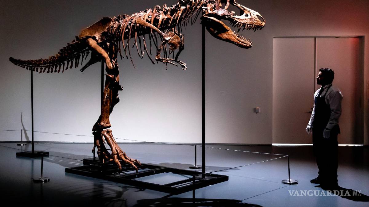 Subastan el esqueleto de un dinosaurio de hace 77 millones de años
