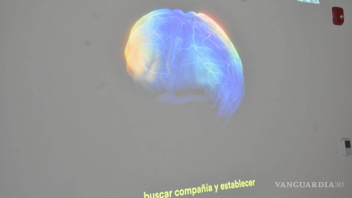 Arte, deporte y ciencia convergen en la exposición ‘La Asociación’, inaugurada en Monterrey