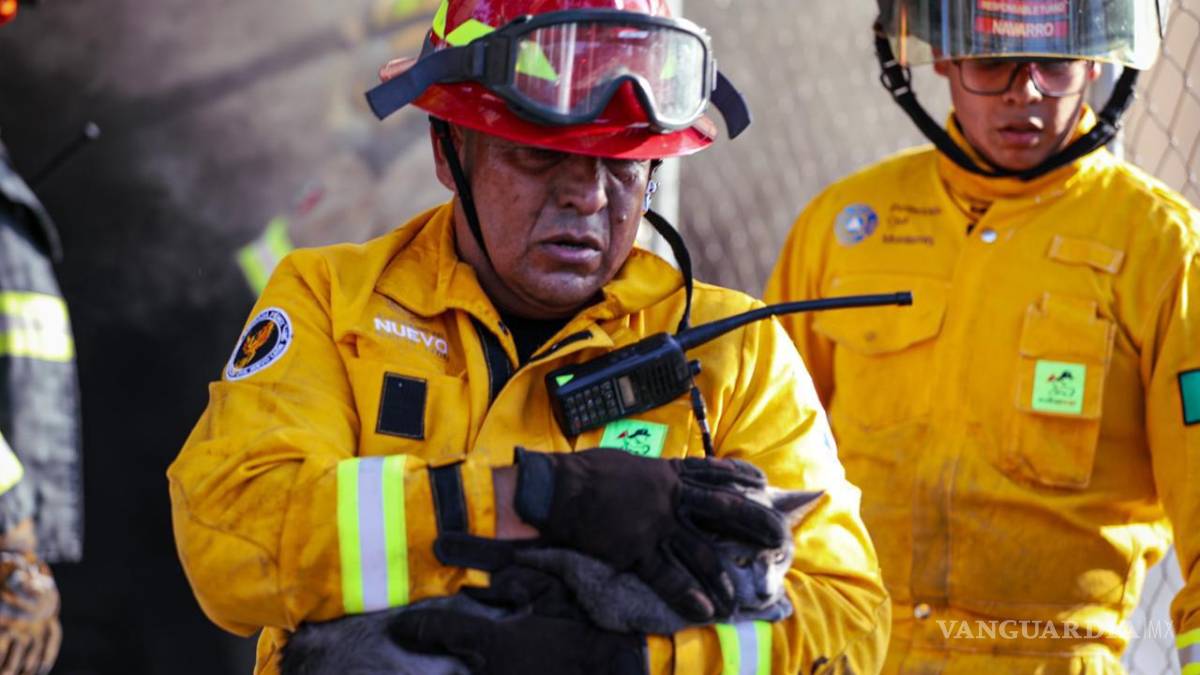 Evacuan a 30 personas y rescatan a seis animales por incendio en Monterrey, Nuevo León