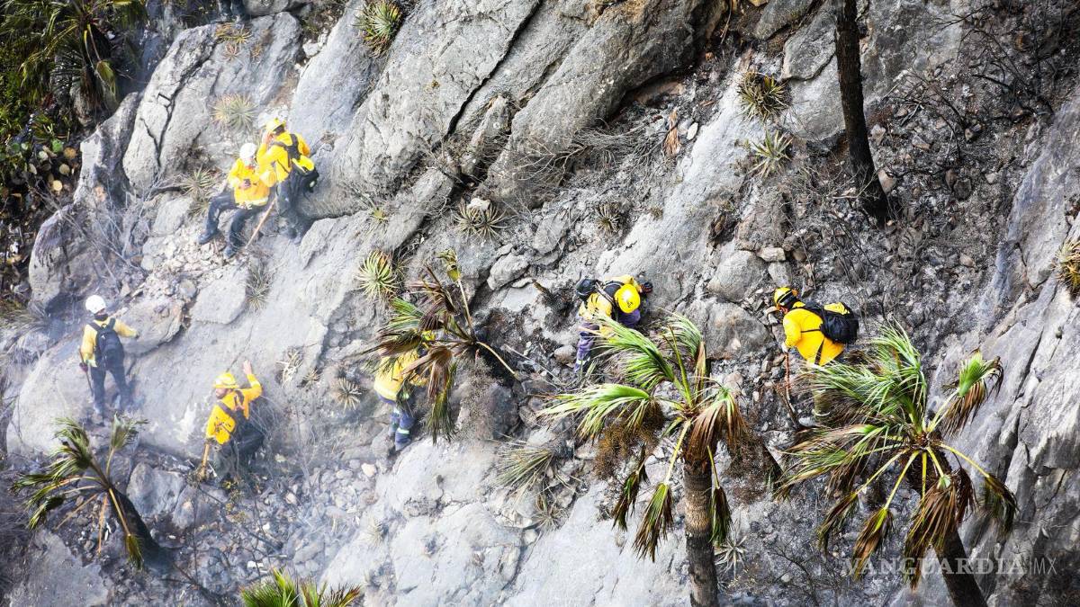 Liquidan incendio del Cerro del Fraile ocasionado por rayo, en Nuevo León